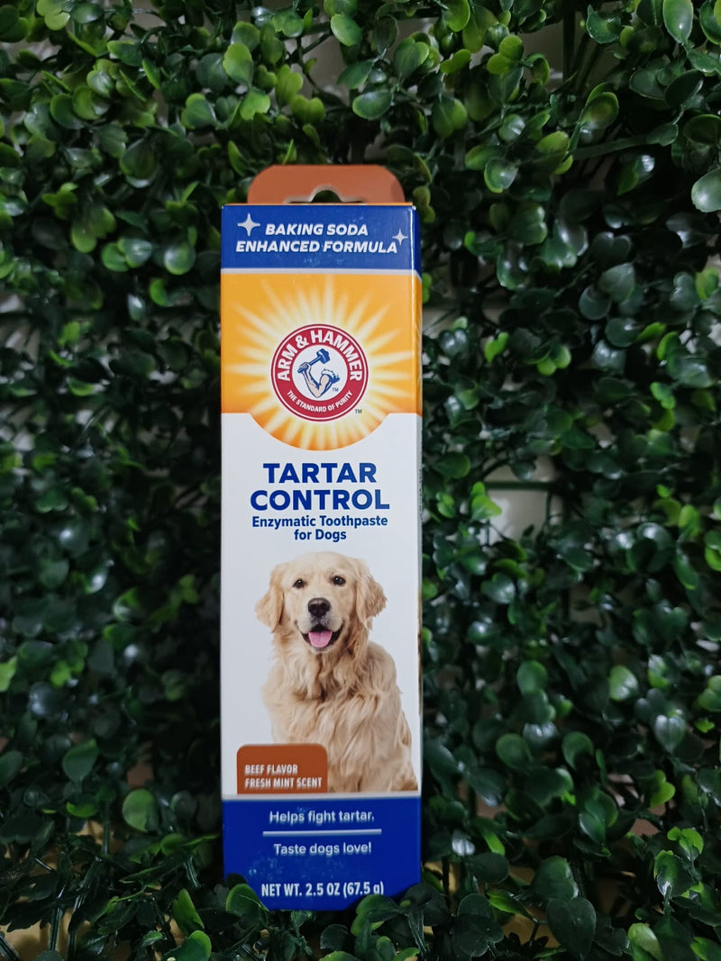 PASTA DE DENTES ENZIMÁTICA PARA CÃES - ARM & HAMMER