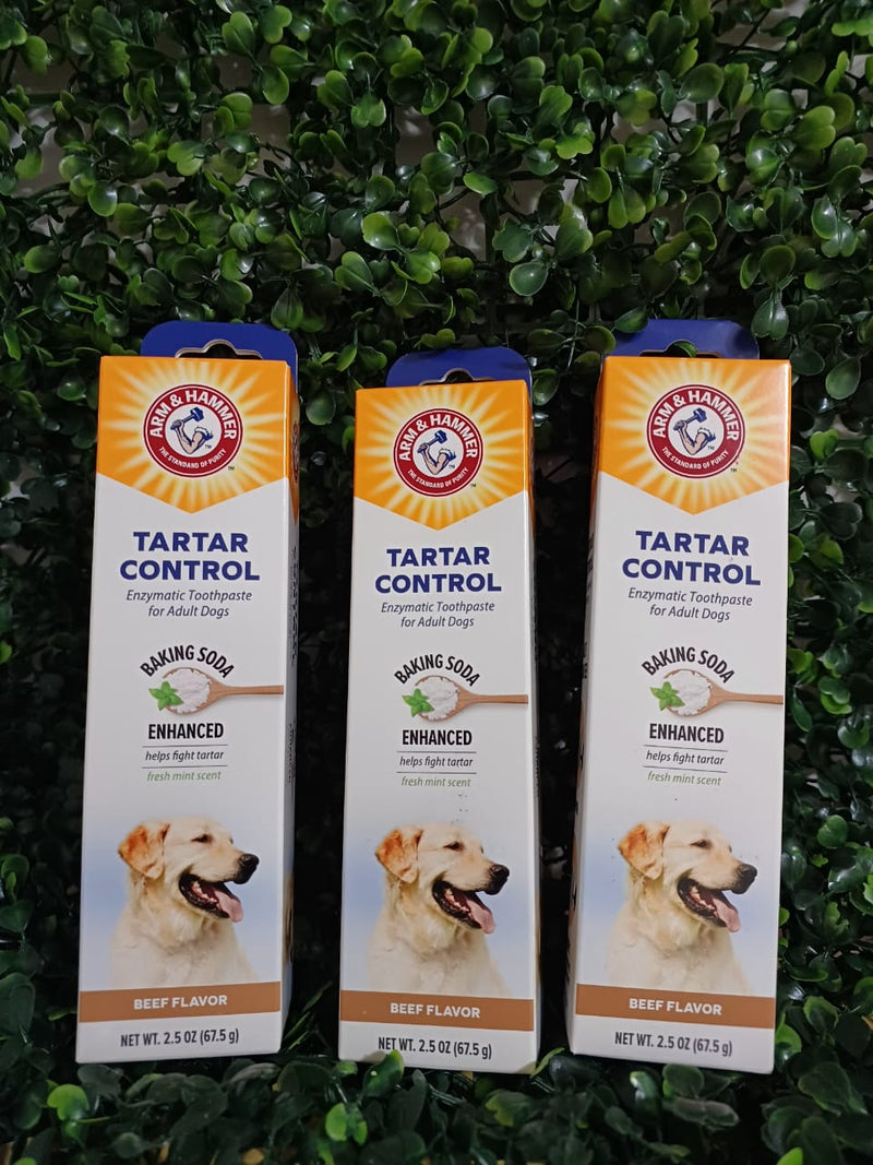 PASTA DE DENTES ENZIMÁTICA PARA CÃES - ARM & HAMMER